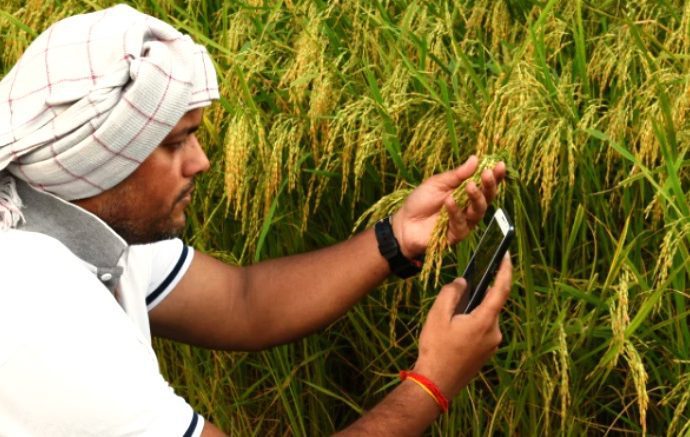 किसानों को मौसम का पूर्वानुमान बताएगा मेघदूत मोबाइल ऐप