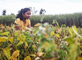 महिला एथलीटों का भविष्य रच रही हैं कोल्हापुर के किसानों की बेटियां
